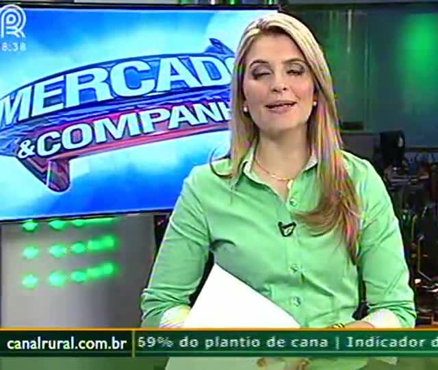 Má qualidade das sementes leva produtores a replantio em MT