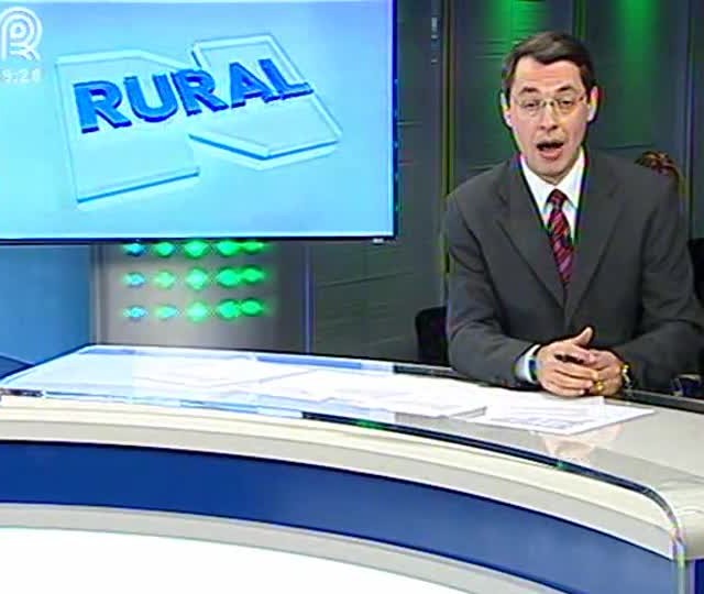 Produtores de ovos estão insatisfeitos com o lucro da atividade