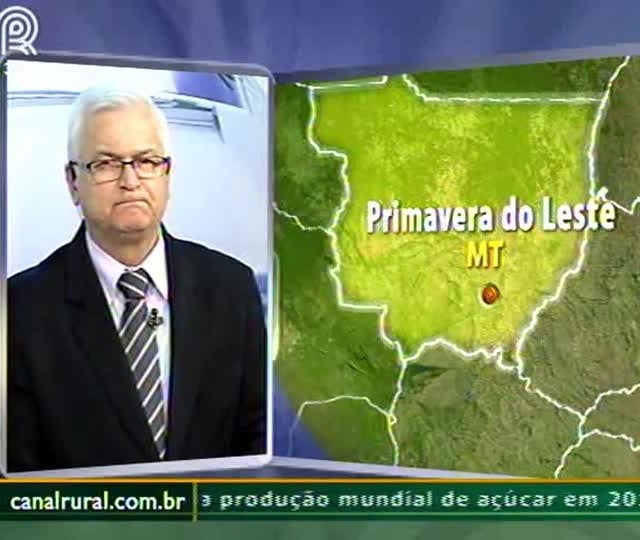Plantio da soja está quase finalizado no MT