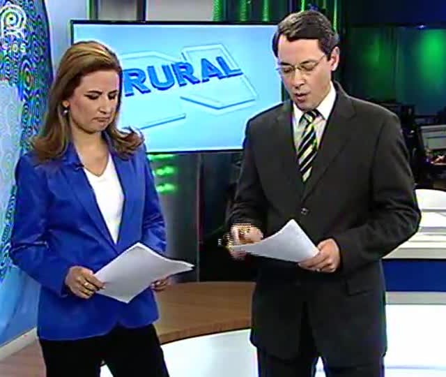 Produtores de MT denunciam a baixa qualidade das sementes compradas