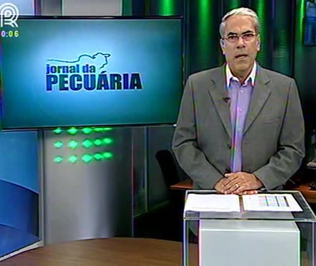 Conheça a algaróba, árvore que ajuda na produção de ração