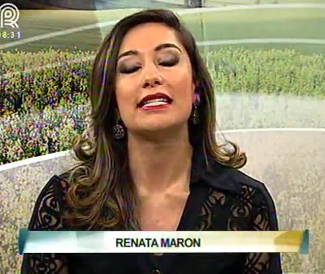 Conheça os campeões da prova de conformação do cavalo árabe