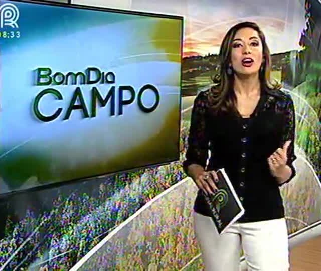 Comida típica do Oriente Médio virou febre em Roma