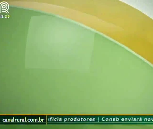 Pesquisador da Embrapa pede rotação de produtos para controle da ferrugem