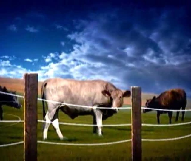 Técnica Rural - Especial Soja Brasil: Ferrugem asiática e plantas daninhas