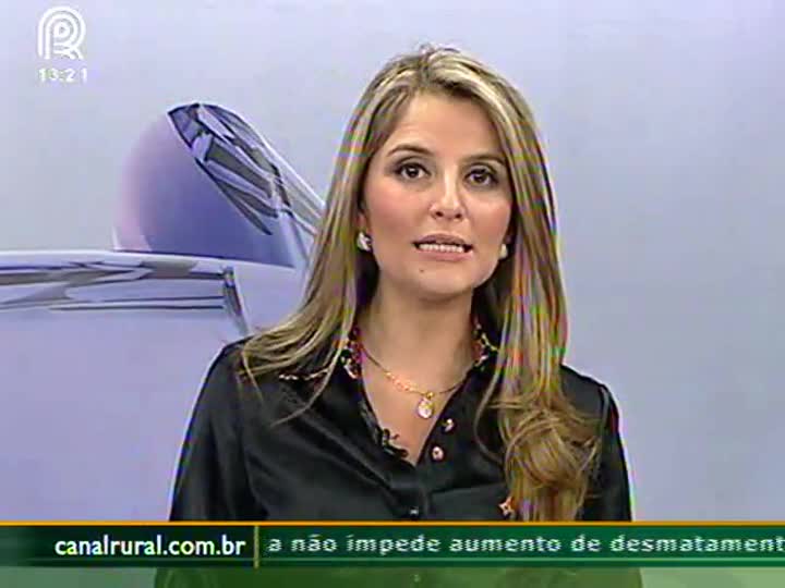 Aumento elevado do farelo foi pontual