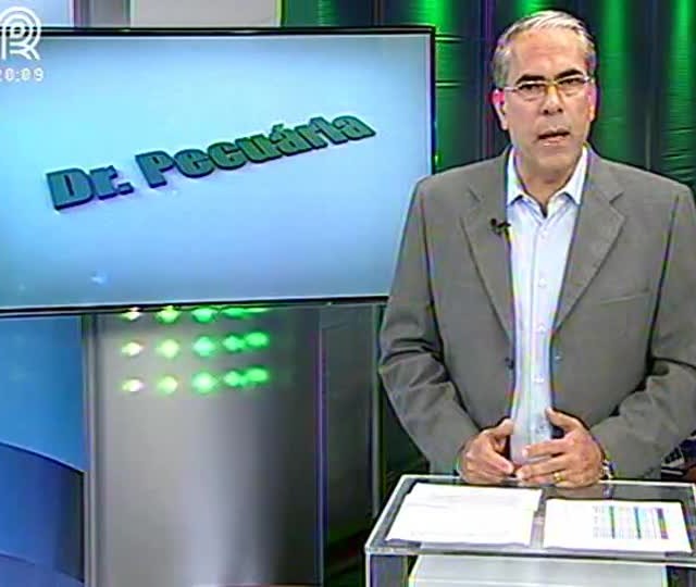 Veja como fazer o controle de pragas em aves