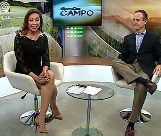 Saiba a importância do cavalo árabe