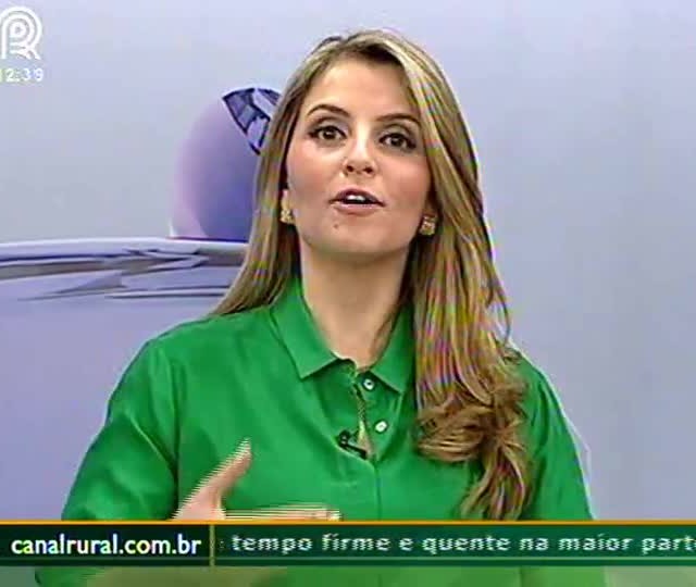 Combate à ferrugem da soja em MT