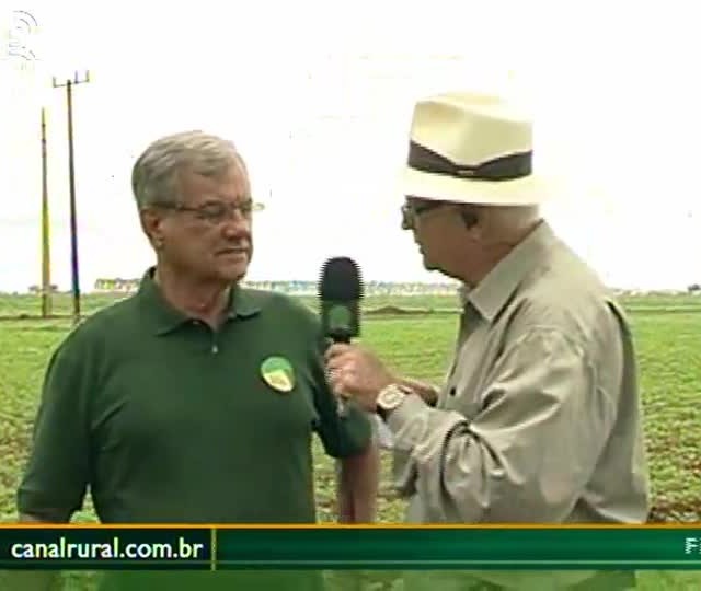 Especialista relata desenvolvimento desigual da safra em Mato Grosso