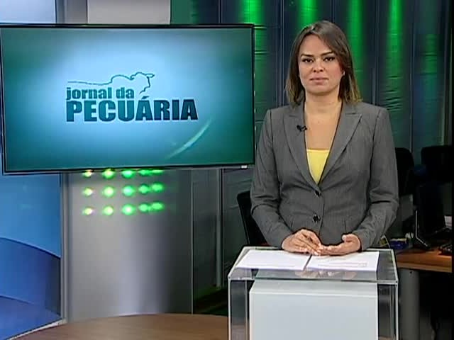 Saiba como criar chinchilas