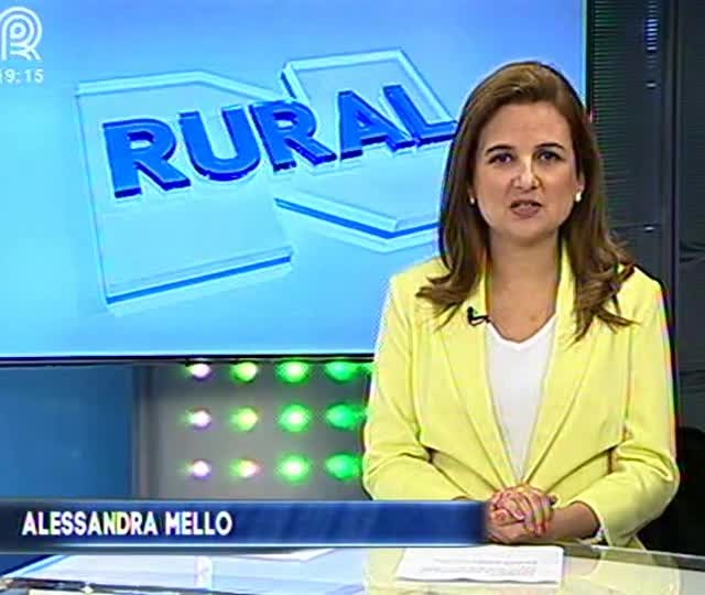 Lavouras de Patrocínio (MG) sofrem primeiros ataques da Helicoverpa armigera