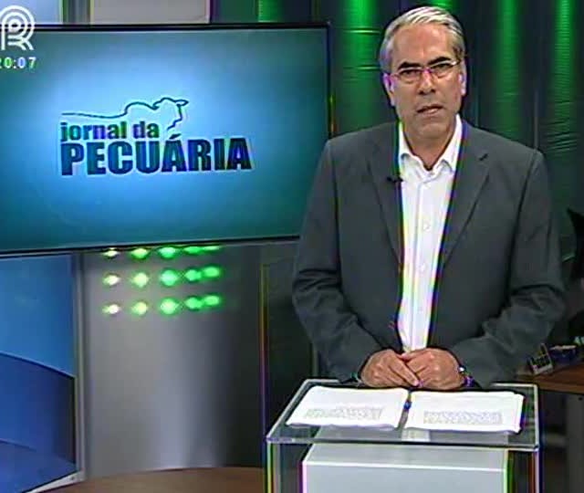 Custo de produção acompanha alta da arroba do boi gordo