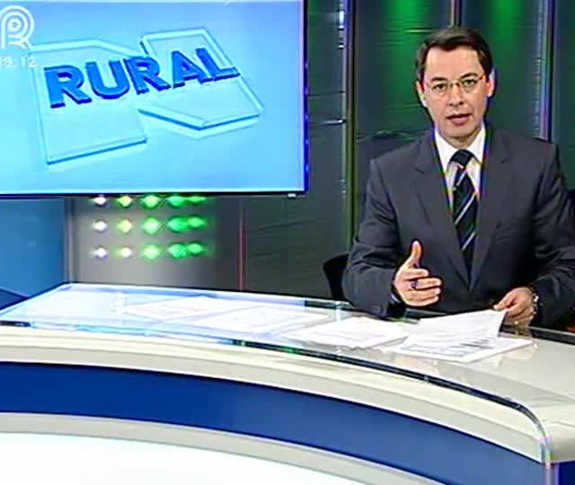 Sementeiras de MG preveem aumento no cultivo de soja Bt e precoce