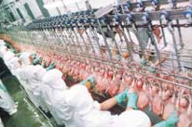 Exportações brasileiras de carne de frango crescem 7% em março, indica setor