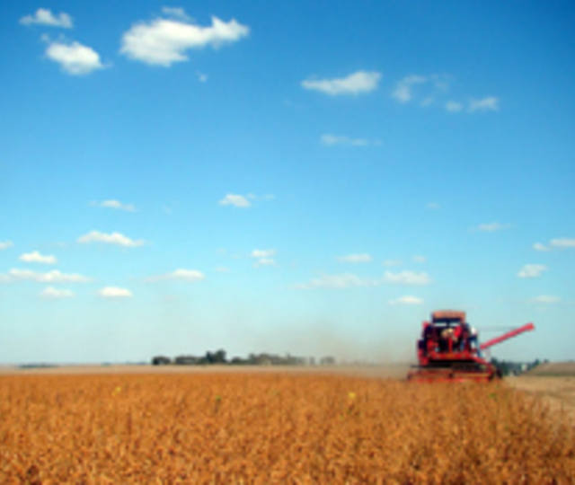 Mato Grosso conclui semeadura em 8,86 milhões de hectares