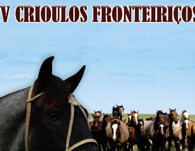 C2Rural transmite Remate Virtual IV Crioulos Fronteiriços