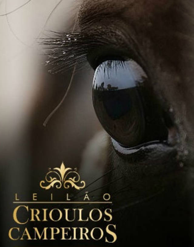C2Rural transmite Leilão Crioulos Campeiros