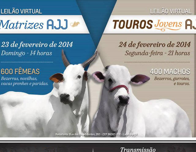 Leilão Virtual Matrizes AJJ e Leilão Touros Jovens AJJ ofertam 600 fêmeas e 400 machos