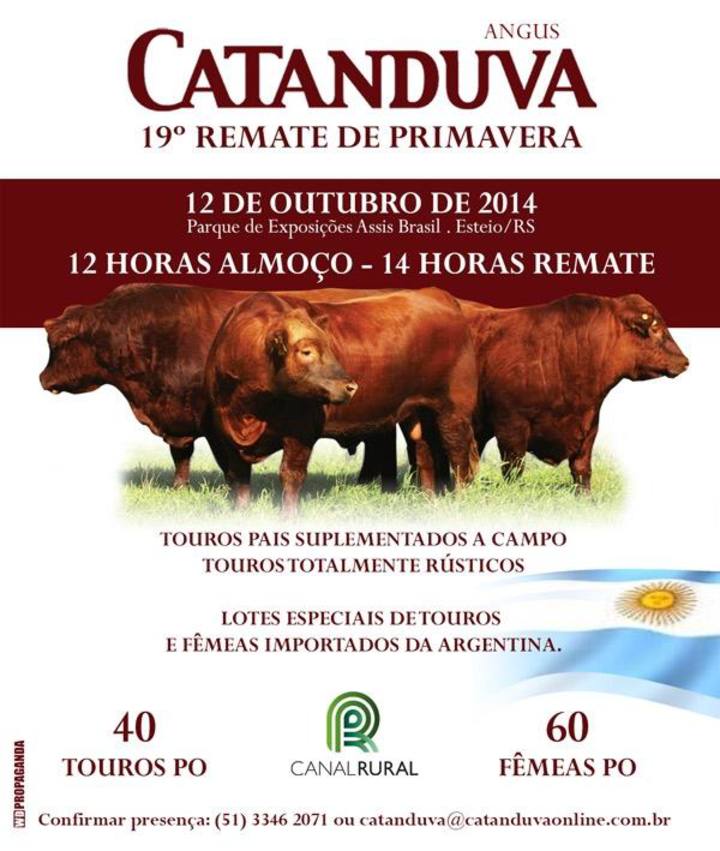 C2Rural transmite 19° Remate de Primavera Angus Catanduva