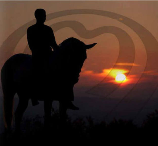 C2Rural transmite Leilão de Elite Nacional Sem Fronteiras 2014