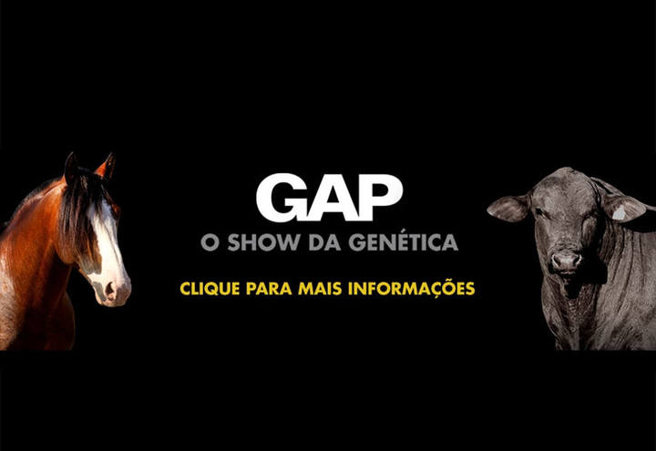 C2Rural transmite leilão GAP - O Show da Genética