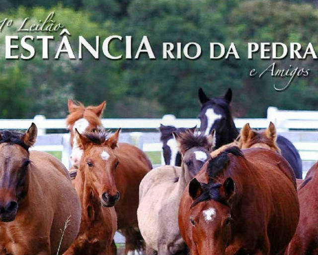 C2Rural transmite o 1° Leilão Estância Rio da Pedra e Amigos