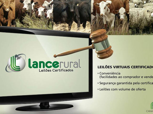 II Treinamento de Certificadores de Leilões credencia 34 profissionais para Lance Rural