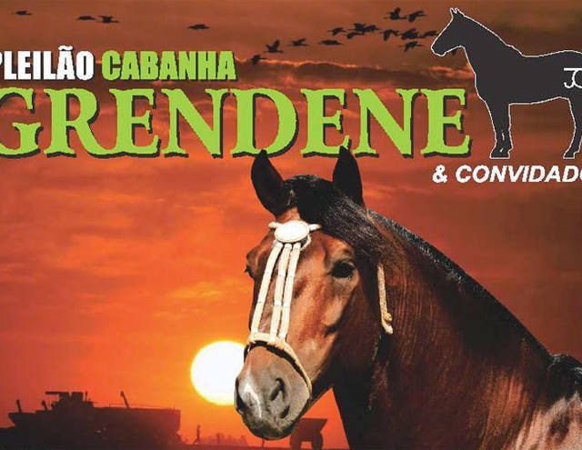 C2Rural transmite 1° Leilão Cabanha Grendene & Convidados