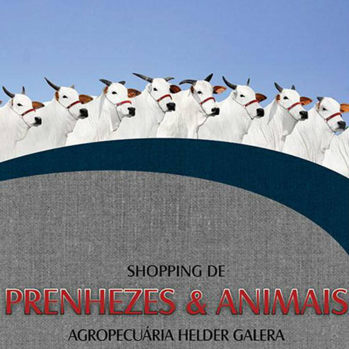 C2rural transmite Shopping de Prenhezes e Animais Agropecuária Helder Galera