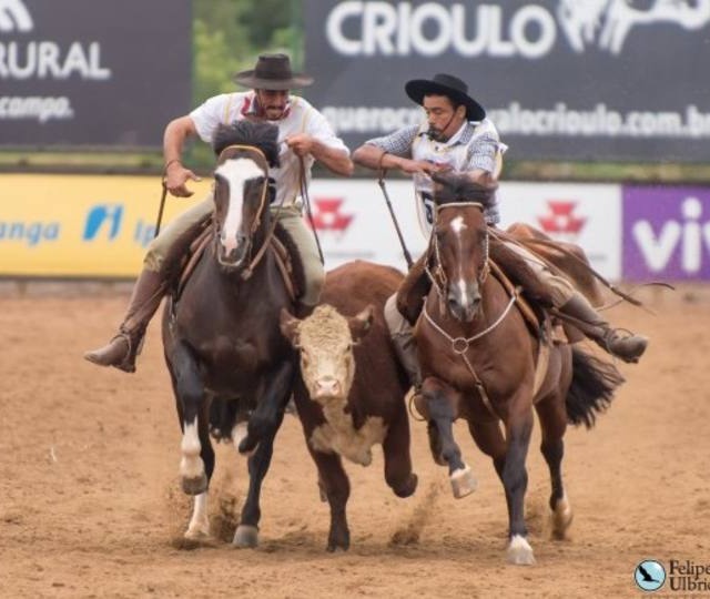 C2Rural transmite classificatória ao Freio de Ouro 2014 direto de Bagé (RS)