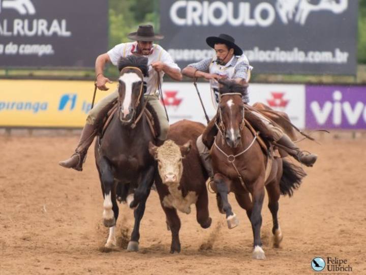 C2Rural transmite classificatória ao Freio de Ouro 2014 direto de Bagé (RS)