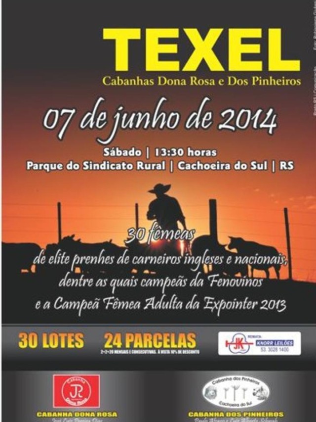 5º Leilão Texel Cabanhas Dona Rosa e dos Pinheiros oferta 30 fêmeas prenhes