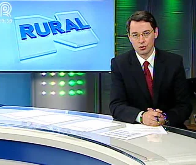 Soja voluntária pode virar foco de ferrugem asiática em Sapezal (MT)