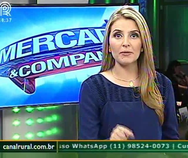 Mercado de milho sobe 2% e saca se aproxima dos R$ 30