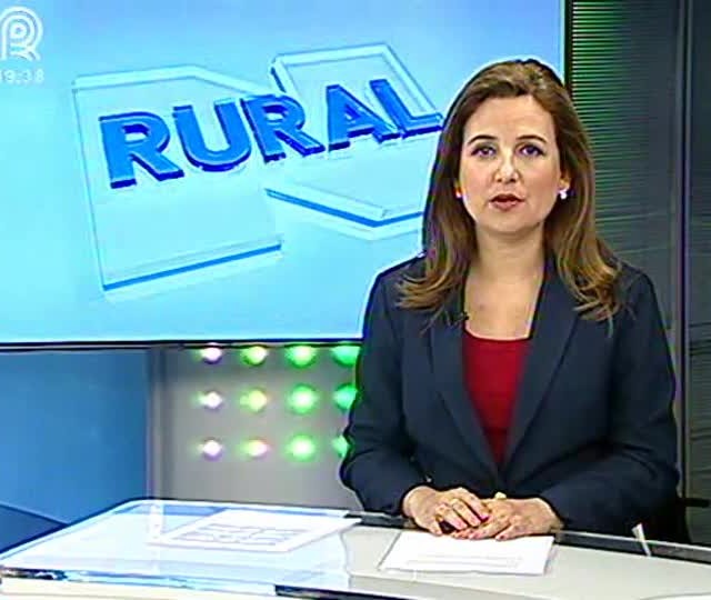 Suinocultura reclama veto à inclusão na política de preço mínimo