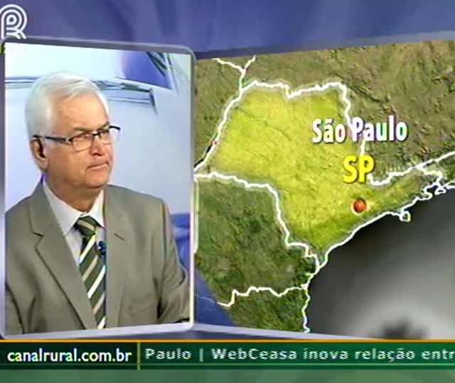 Arroba do boi pode ter queda em 2015