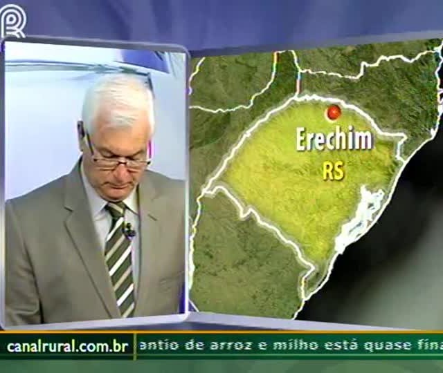 Suinocultura fechará bem o ano