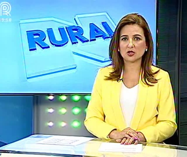 Para garantir janela da segunda safra, produtores de MG apostam na soja e no milho precoce