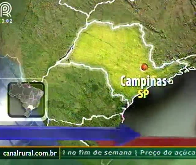 Alta oferta de frango derruba preço da carne
