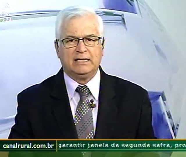 Segunda safra de milho é indefinida