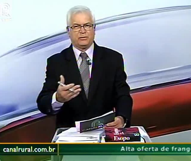 Variedades precoces garantem plantio de milho segunda safra em Uberaba (MG)