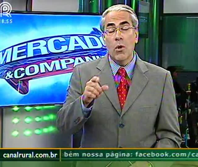 Presença da mosca branca preocupa produtores de Tapurah (MT)