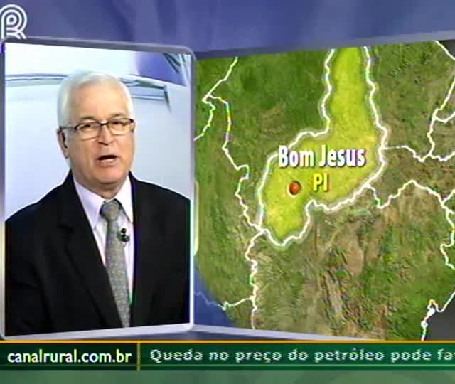 Infraestrutura pecuária do Piauí impede registros no CAR