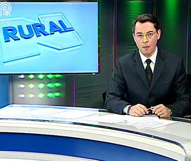 Quase cinco milhões de hectares de soja Intacta são plantados na América do Sul