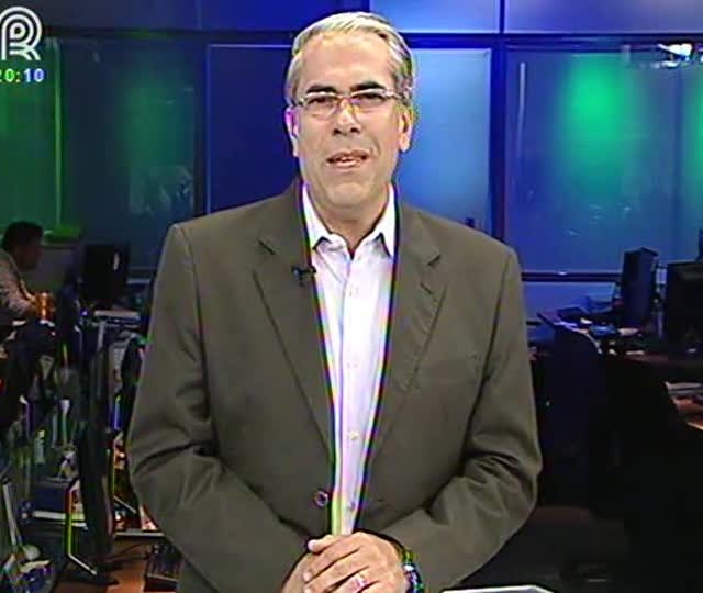 Veja como funcionam as terapias alternativas em cavalos
