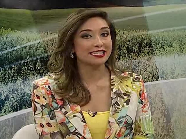 Entenda o que é turismo rural