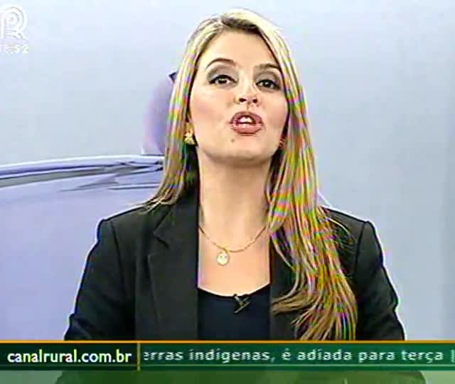 Produtores de Tangará da Serra apostam na semente tradicional para garantir prêmio