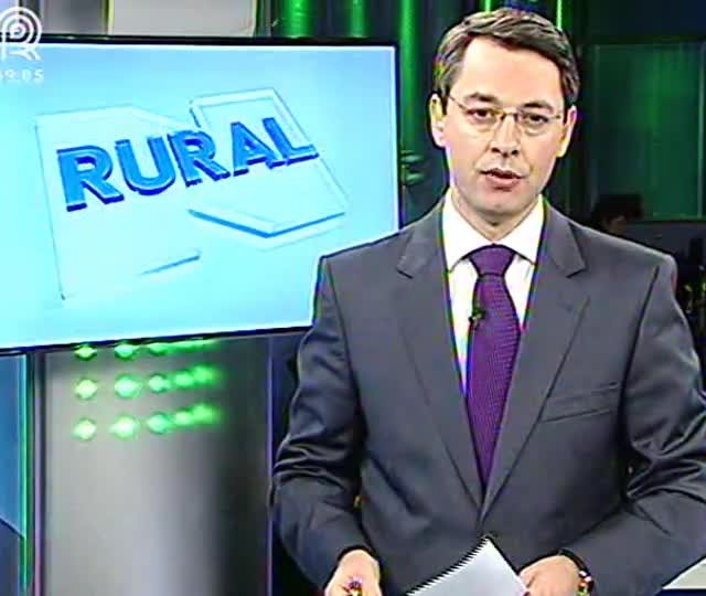 Brasil bate recorde nos embarques de carne bovina