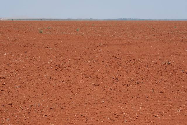 Conheça as características da terra roxa ou terra vermelha